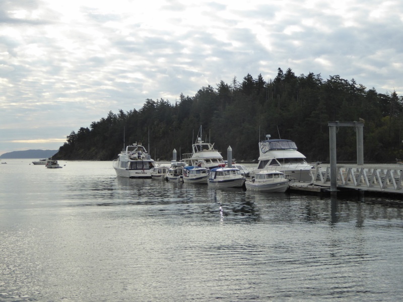 All the boats at Dock 2