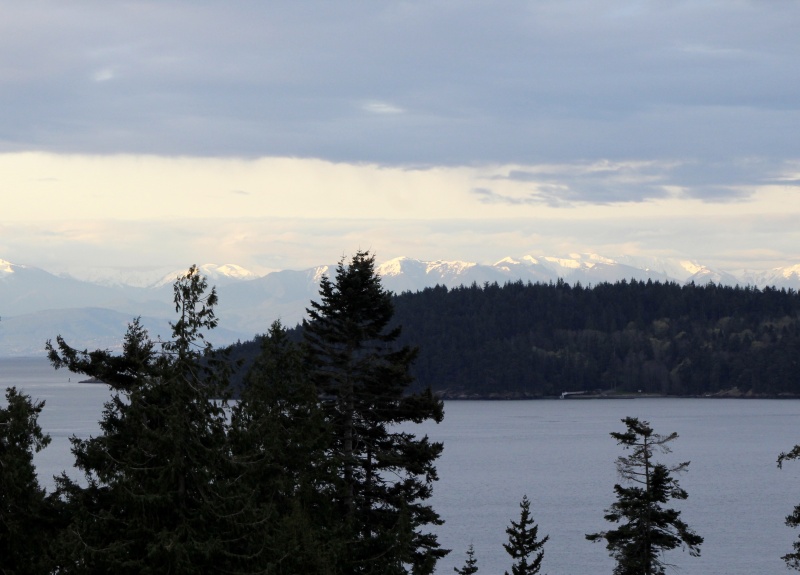 Allen isl