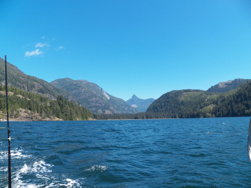 Although I launched in Moucha Bay, this is a picture back up towards Gold River.