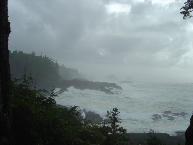 Amphitrite Point after a storm