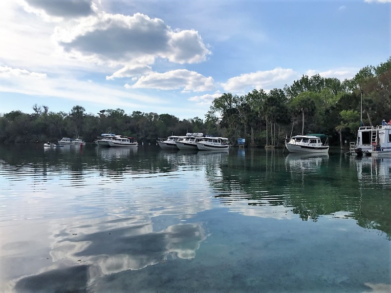 Anchored in Silver Glen Springs