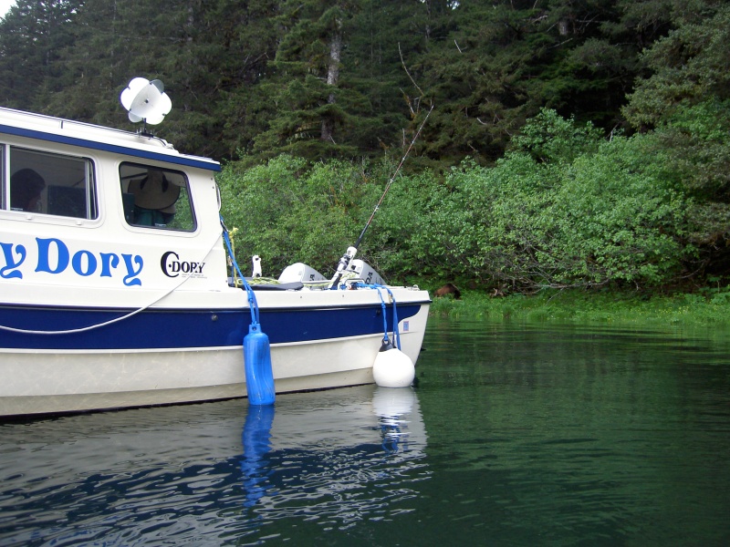 anchored with bear by boat in red bluff bay