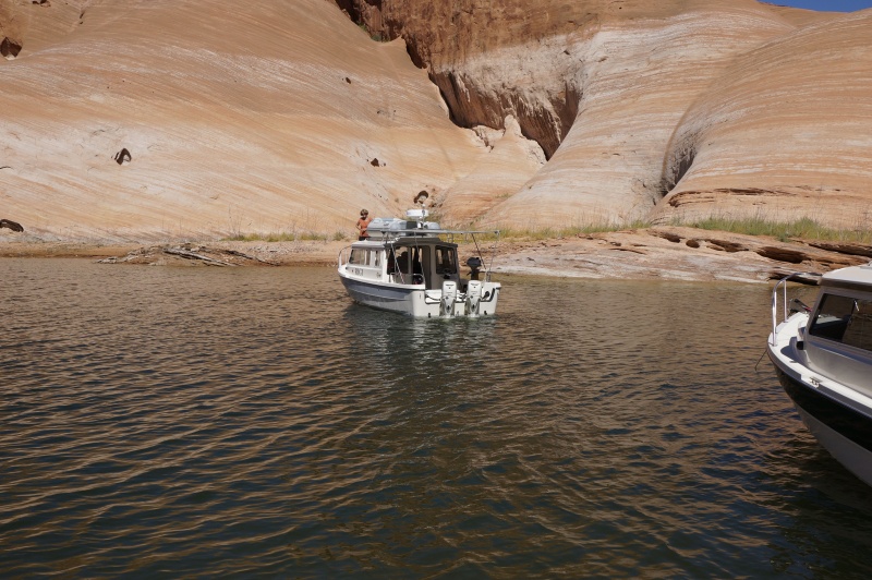 Anchoring, set the hook out well
