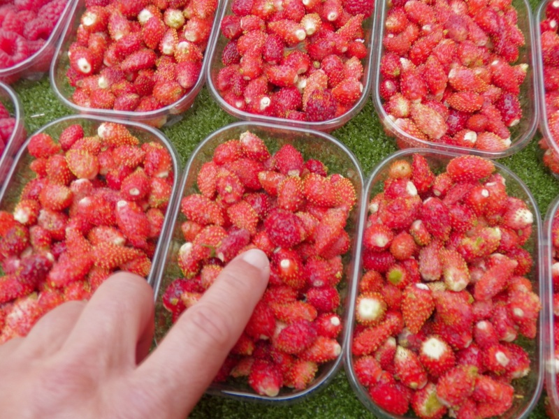 And what grocery store would have a stall that sold hand-picked wild strawberries?  We decided that money was no object when it came to delicacies.