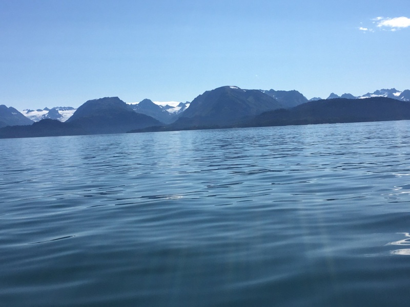 Another crappy day on Kachemak bay