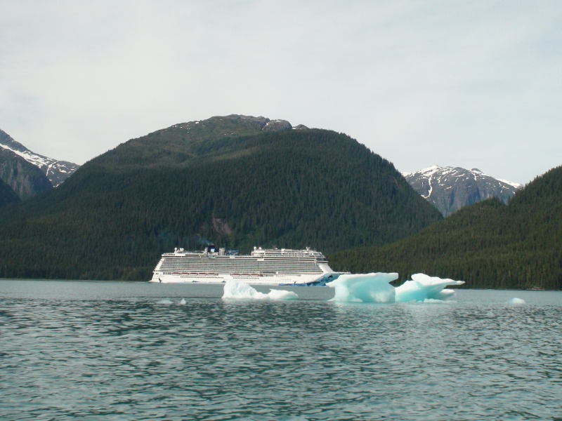 Another cruise ship Endicott Arm.  In early cruises here there we didn?t see any cruise ships small or large.