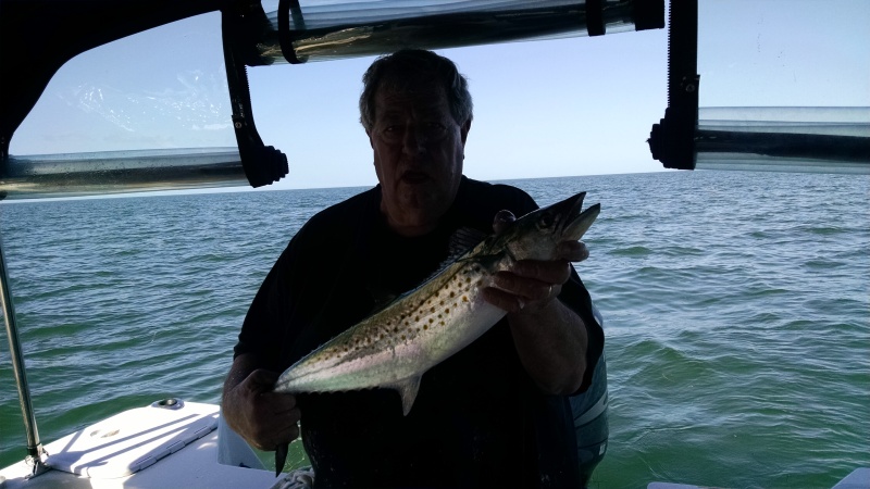 Another Spanish Mackeral