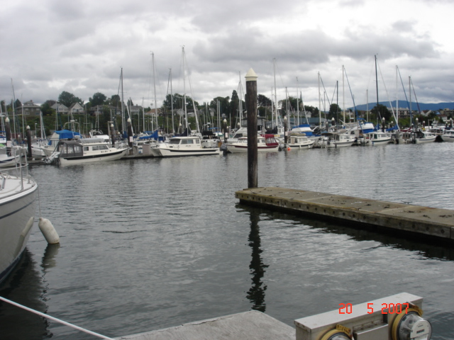Another view of P Dock