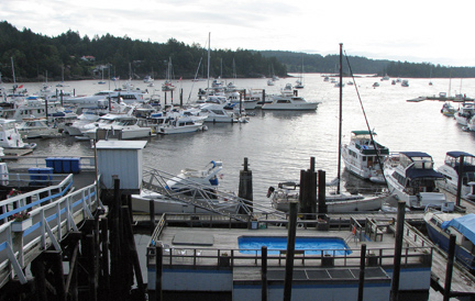 Another view of the marina