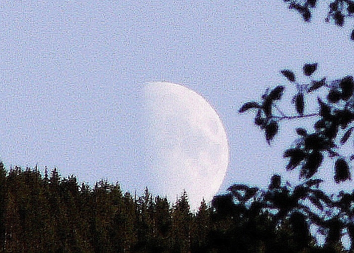 Artsy Moon - Upper Priest River - 8-22-07