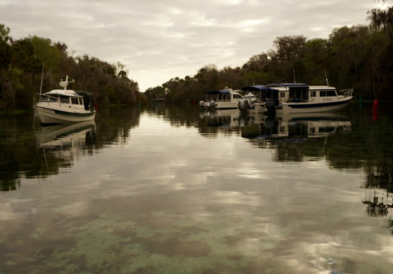 at anchor Silver Glen Springs