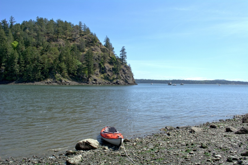 At low tide, it's best to land in these rocks off to the side of Eagle Harbor, unless you prefer to get muddy.