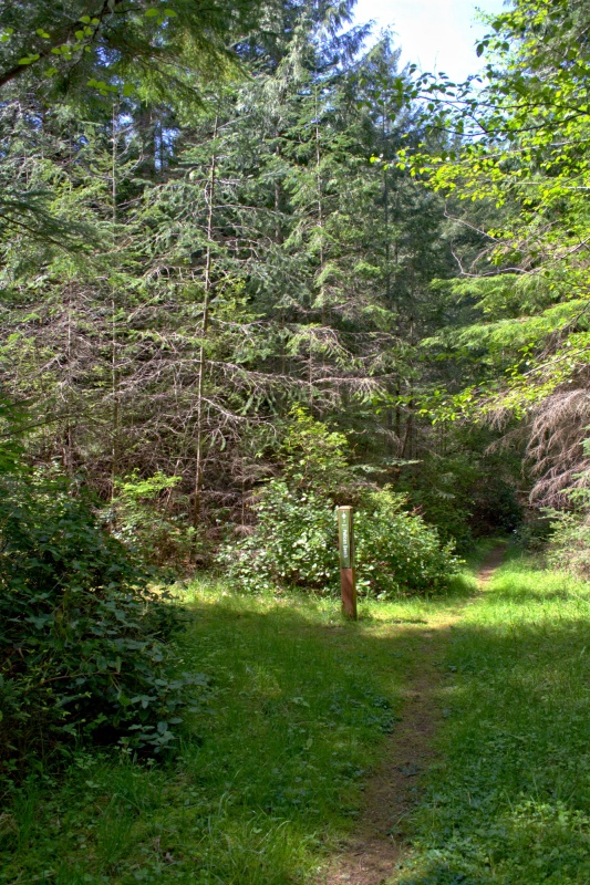 At the northeast corner of the lake another trail cuts off to the west, along the north end of the lake