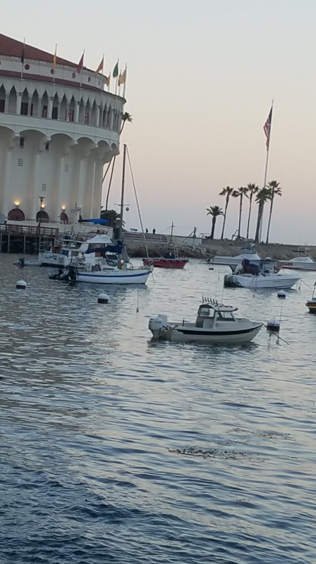 Avalon Catalina, For the night