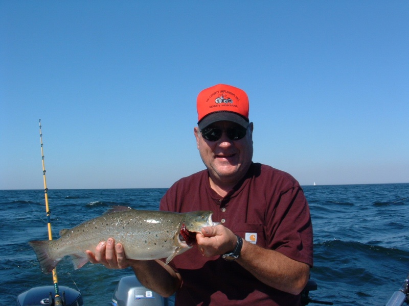Average Brown on the Bay