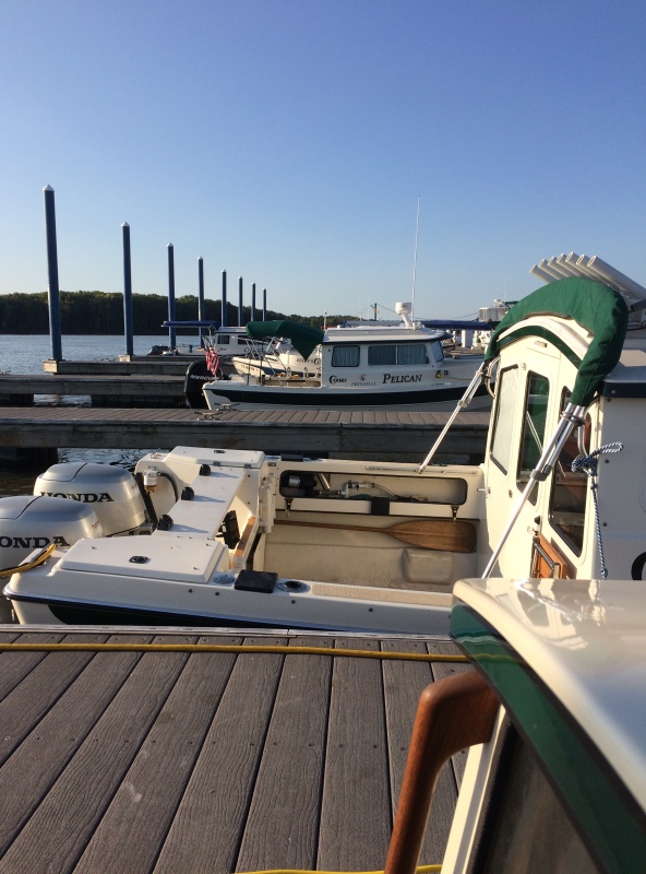 back at the marina