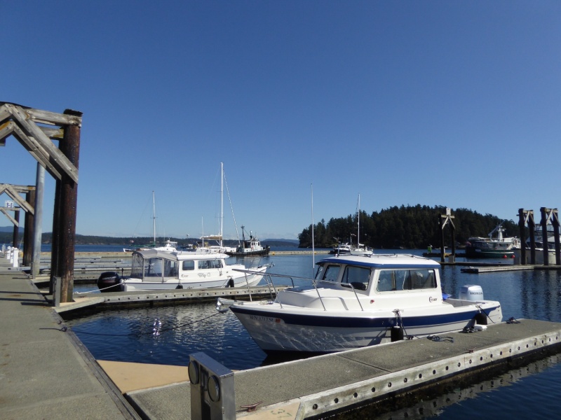 Back to the dock with my lunch and Catman is there now too!