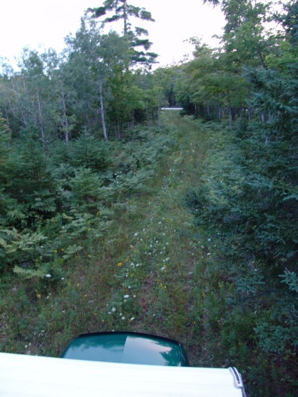 Backed up in the woods for the night.