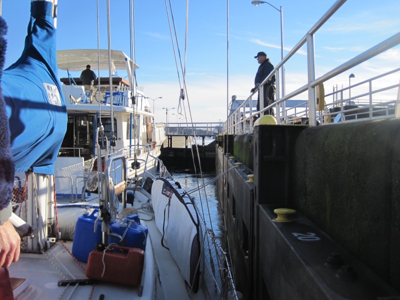 Ballard Locks