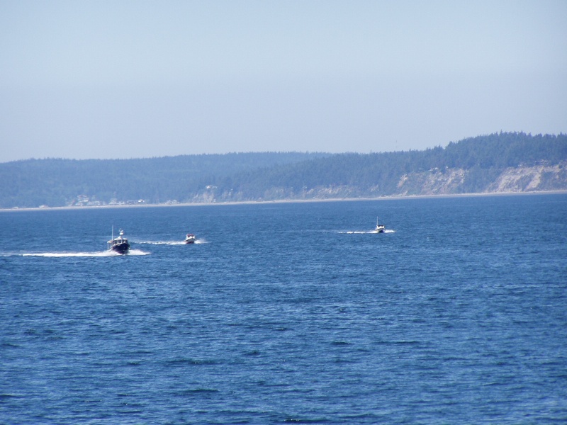 Bambina and Little Buddy escorting the new R-Matey, Camano Island in background