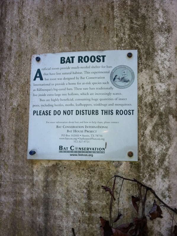Bat roost. Artificial concrete tower.