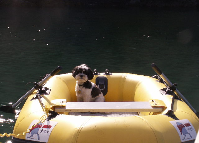 Baxter in Dinghy at James Island 6-27-09