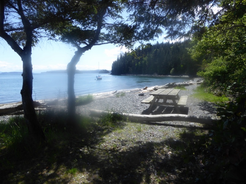 Beach campsite at Pelican Beach