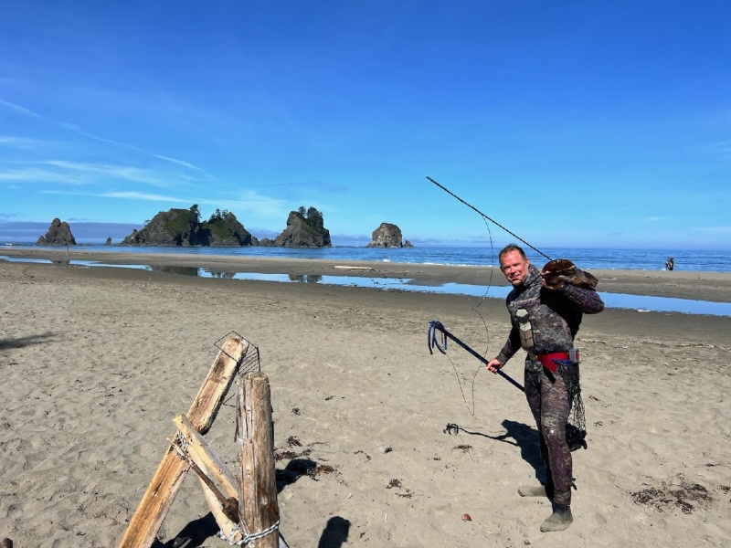 Beach speared ling