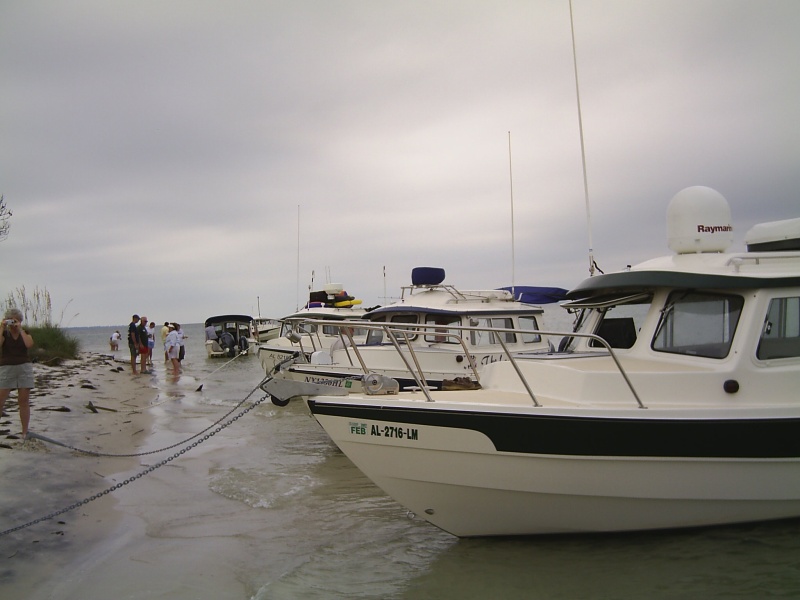 beached c-brats