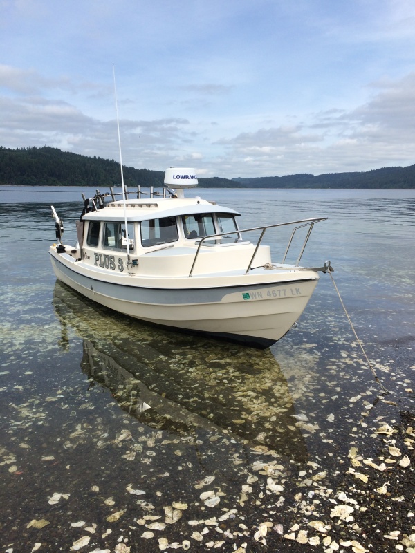 beached in hood canal