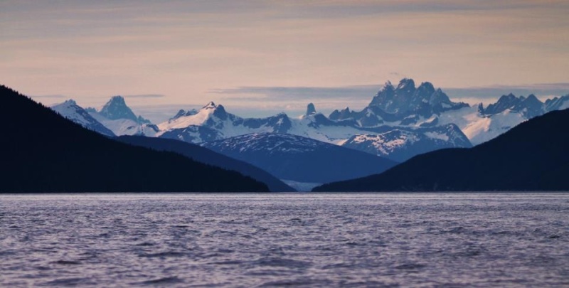 Bear Claw behind Taku Glacier