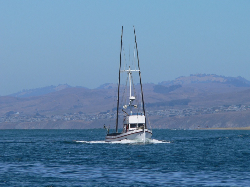 Being followed by a fishing vessel in Bodega Bay