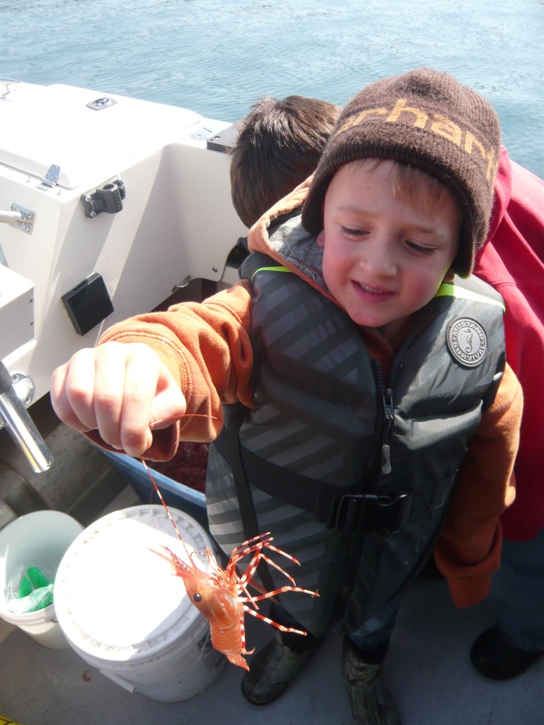 Benny helping with the catch 2014 shrimp