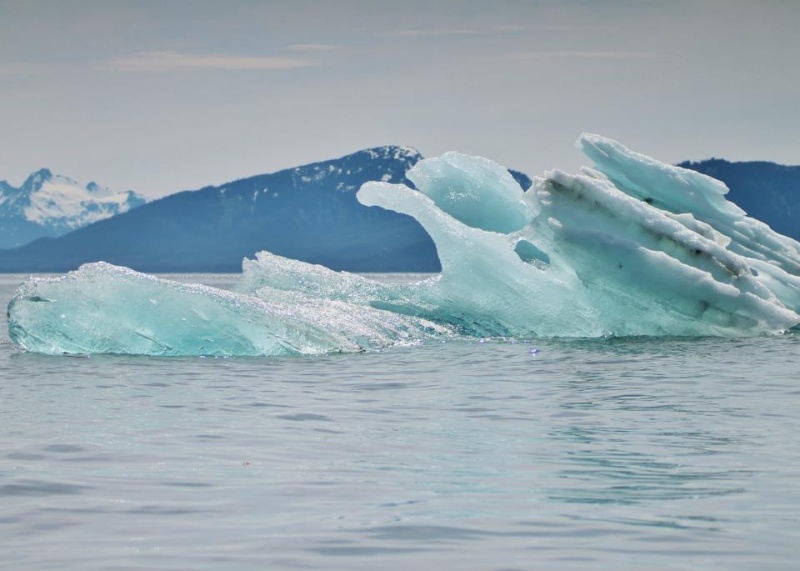 Bergie bit or ice berg?