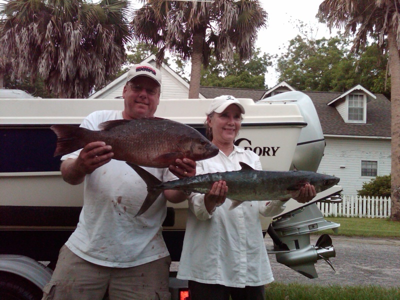 big 10# mangrove snapper and edible size king mackerel