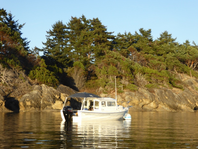 Big-C in Ewing Cove Sunday evening.