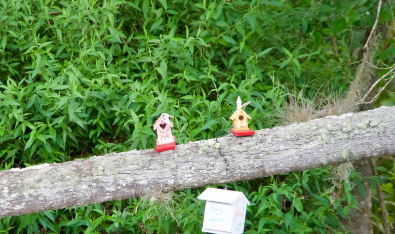 Bird houses on Blue Creek.