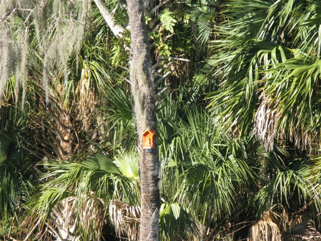 Birdhouses on Blue Creek
