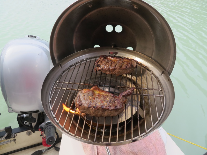 Bison Steaks, from our ranch, on the Magna Grill.