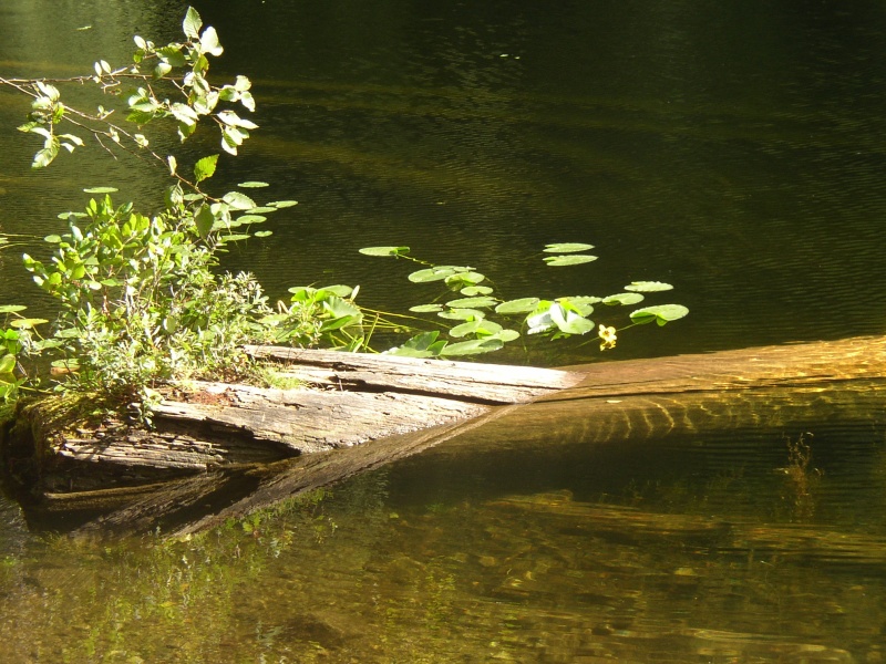 Black Lake, Roscoe Bay