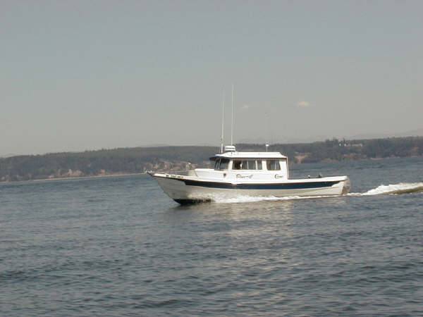 Blue-C-langleyR.jpg