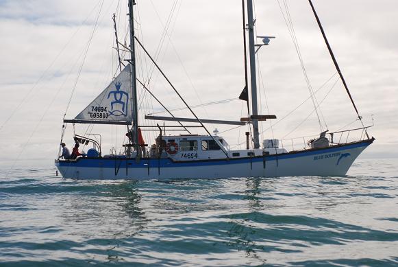Blue Dolphin fishing for salmon @ Icy Point