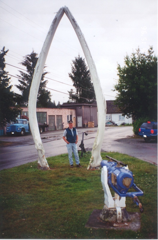 Blue Whale bottom jaw bones, Coal Harbour
