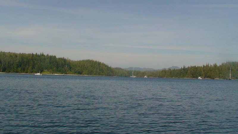 Blunden Harbour