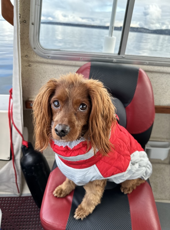 BoatBuddy