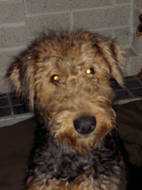 Boomer before.