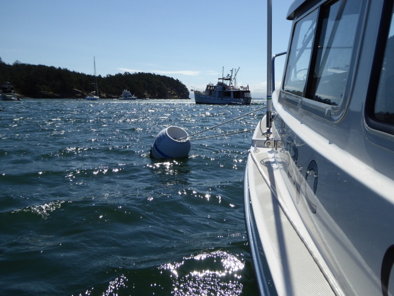 Bouncing around on the buoy in Saturdays winds