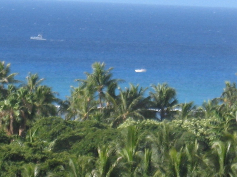 breezy day  hi surf trades are here