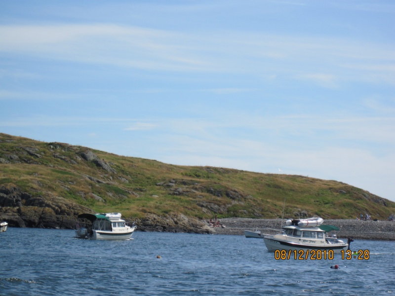 Brimstone Island
