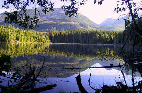 Brown Lake1.jpg